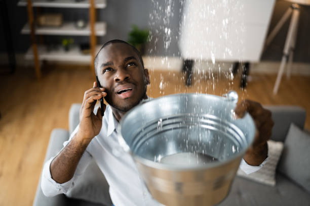 Best Water damage contractors near me  in Raintree Plantation, MO
