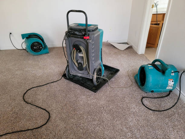 24/7 water damage repair in MO