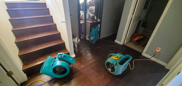 Water damage restoration experts in MO