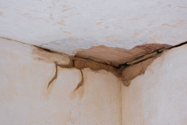 Best Flooded house restoration  in Raintree Plantation, MO
