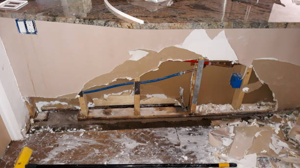 Best Residential water damage restoration  in Raintree Plantation, MO