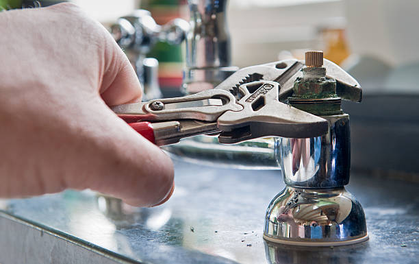 Best Sewage cleanup and water damage restoration  in Raintree Plantation, MO