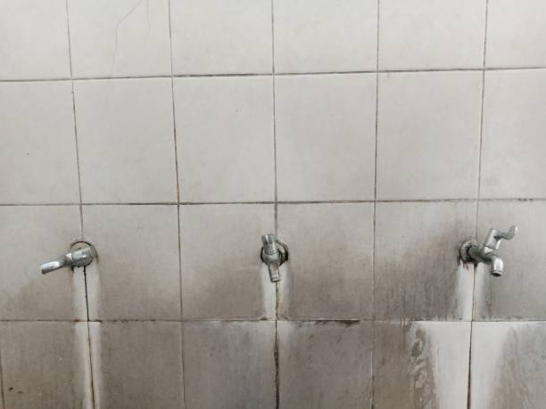 Best Fire Damage Restoration  in Raintree Plantation, MO