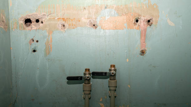 Best 24-hour water damage restoration  in Raintree Plantation, MO