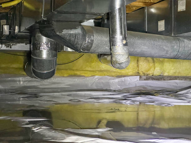 Best 24/7 water damage repair  in Raintree Plantation, MO