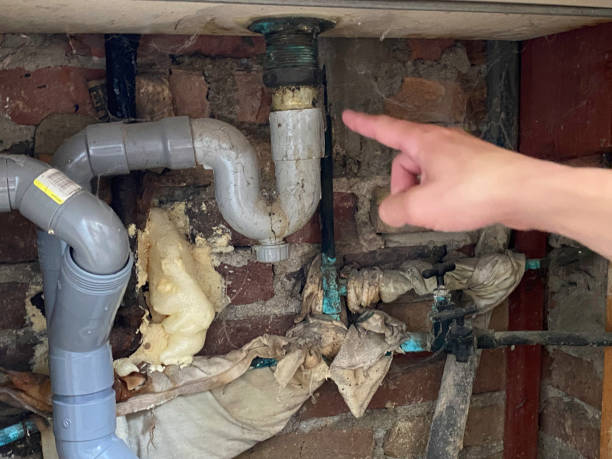 Best Sewage cleanup and water damage restoration  in Raintree Plantation, MO