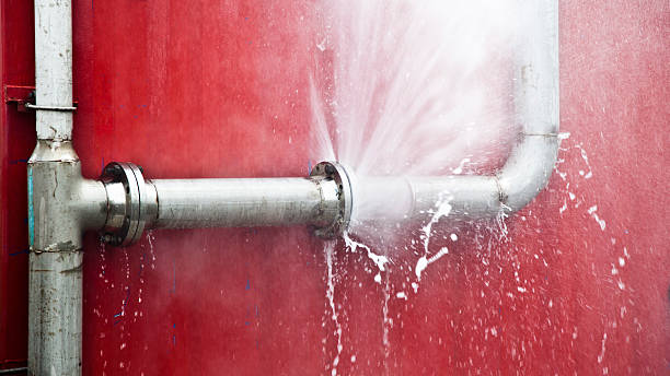 Best Water damage cleanup near me  in Raintree Plantation, MO